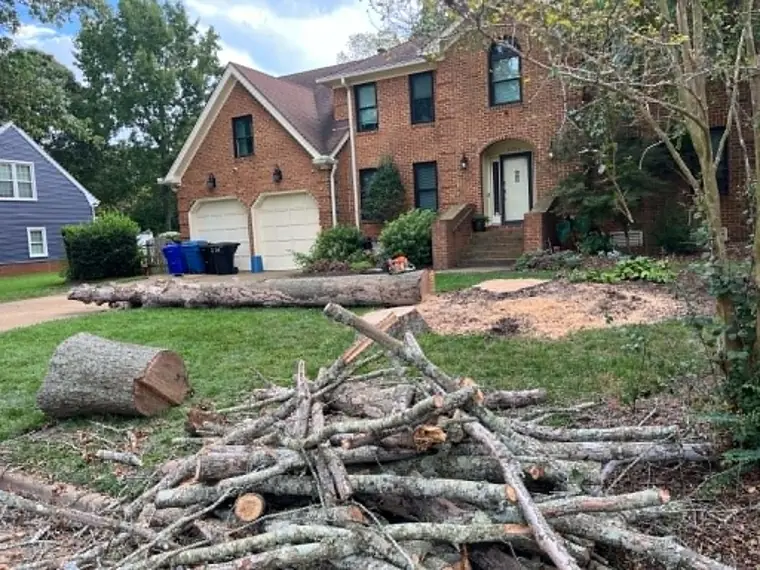 Emergency Tree Service by TreeCo in Hampton Roads